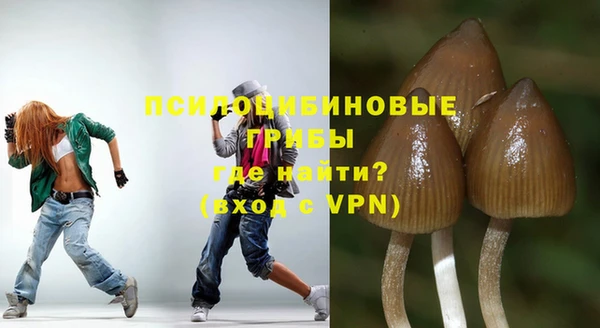 герыч Арсеньев