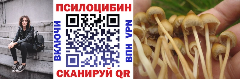 наркошоп  Ленинск  Псилоцибиновые грибы Psilocybe 